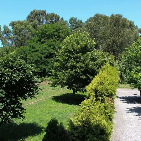 Foz Ocean View Porto